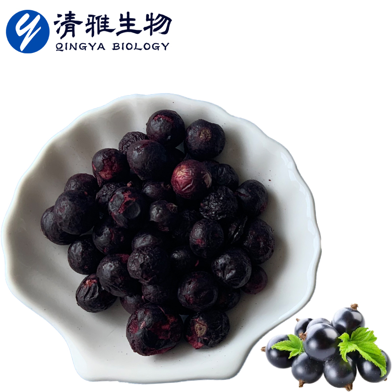 Pure Natural Freeze Dried Ribes Nigrum Powder Freeze Dried Ribes Nigrum Granules Fd Ribes Nigrum