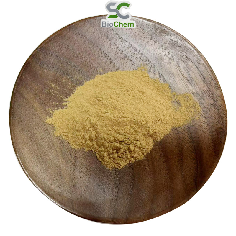 Astragalus Root Extract Astragalus Root Herbal Supplement Anti-Aging