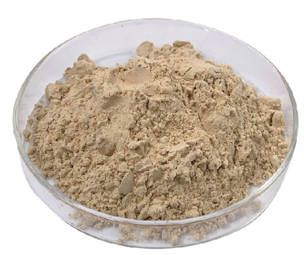 The Factory Produces High Quality Ginsenoside 80% Ginseng Root Extract Ginseng Powder