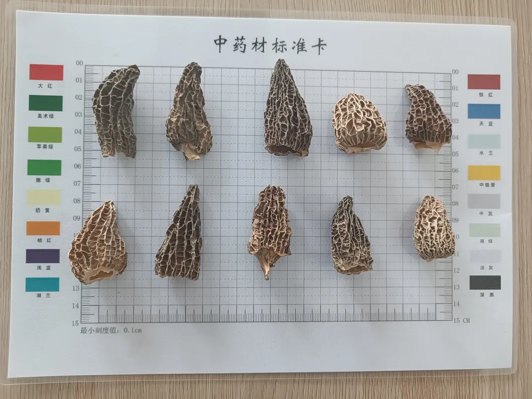 Customized Packaging 2