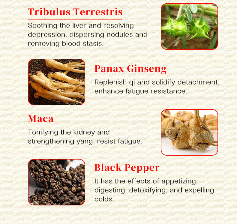 OEM Wholesale Herbal Plant Sex Tongkat Ali Maca Root Extract Tablet Pill for Man Dietary Supplement