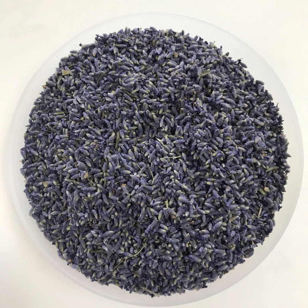 Herbal Tea Xun Yi Cao Lavender Oil Raw Material Lavender