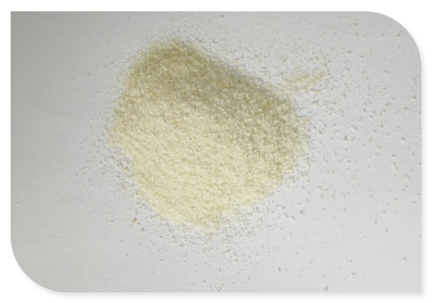 Natural Green Tea Metabolism Boosting Granules with Garcinia Extract