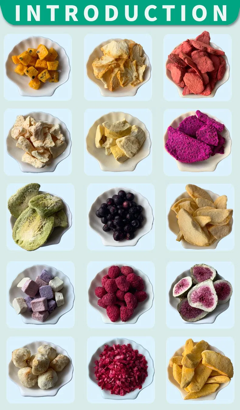 Ribes Nigrum Powder Display