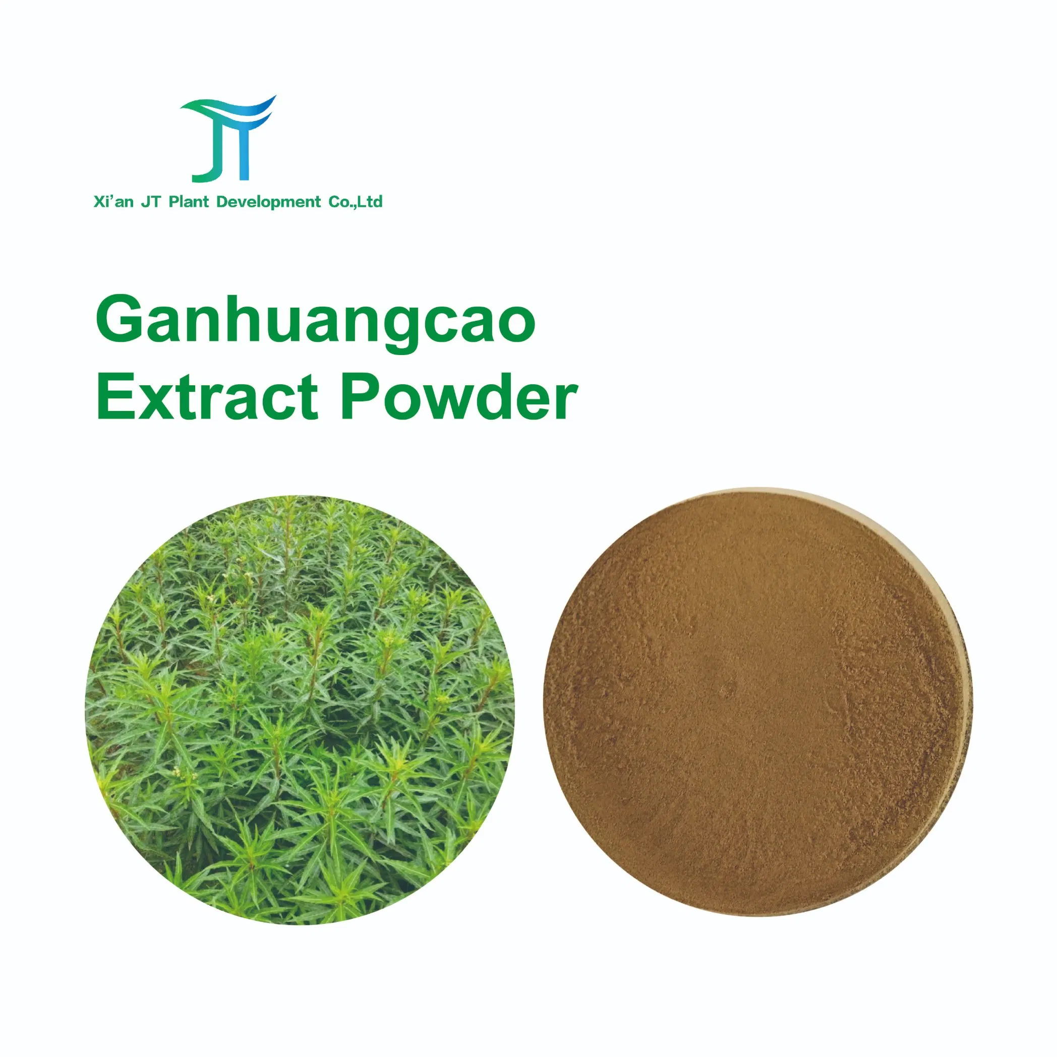 Pure Ganhuangcao Herbal Extract Powder for Health Benefits