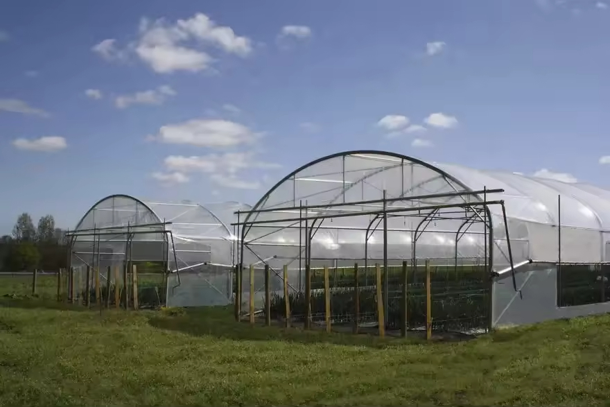 Commercial Single-Span Greenhouse Kit - Plastic Film Tunnel Design for Vegetable Seeding &amp; Strawberry Growing, Complete Steel Frame Structure