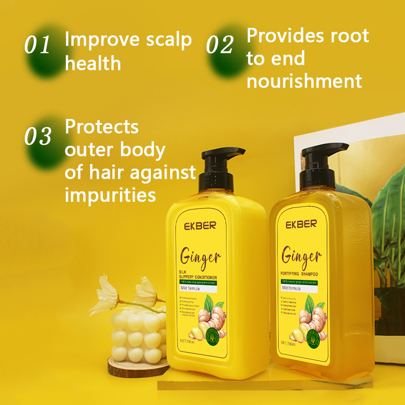 OEM and ODM Ginger Hair Treatment Kit for Healthy Hair
