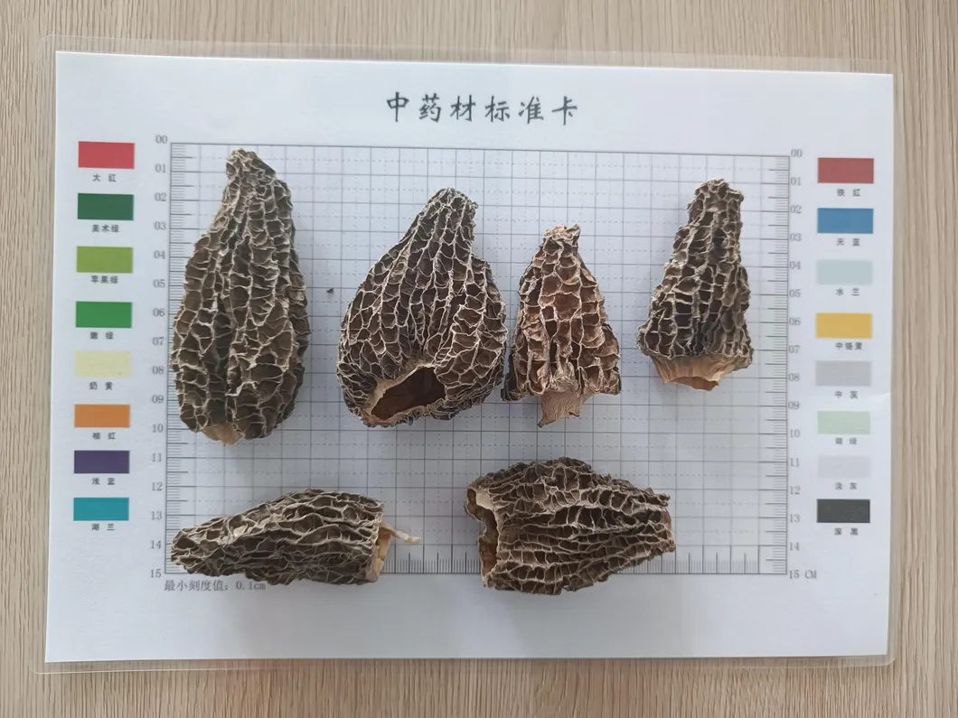 Customized Packaging 1