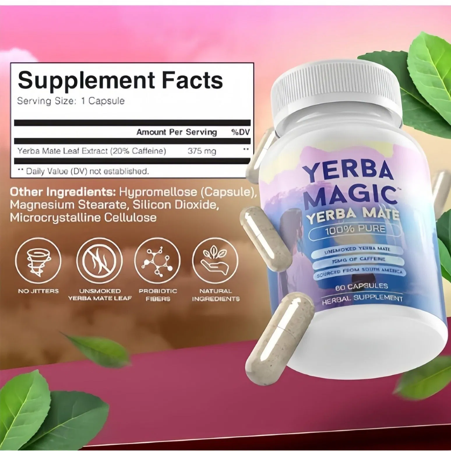 OEM Health Supplement Maude Tea Capsules - Herbal Supplement Capsules - 60 Capsules