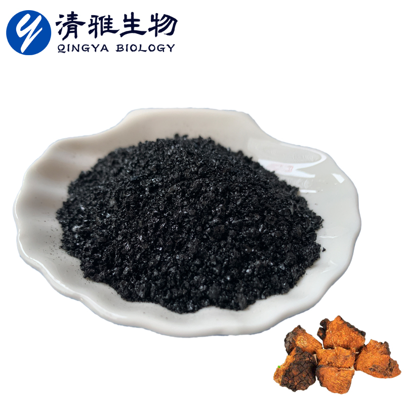 Chaga Mushroom Granules Chaga Extract Phaeoporus Obliquus Extract Inonotus Obliquus