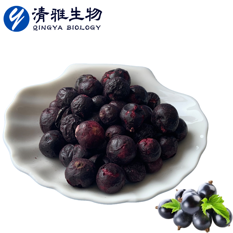 Pure Natural Freeze Dried Ribes Nigrum Powder Freeze Dried Ribes Nigrum Granules Fd Ribes Nigrum