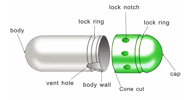 Capsule Parameters 2