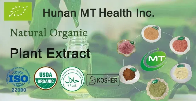 Mint Extract Powder