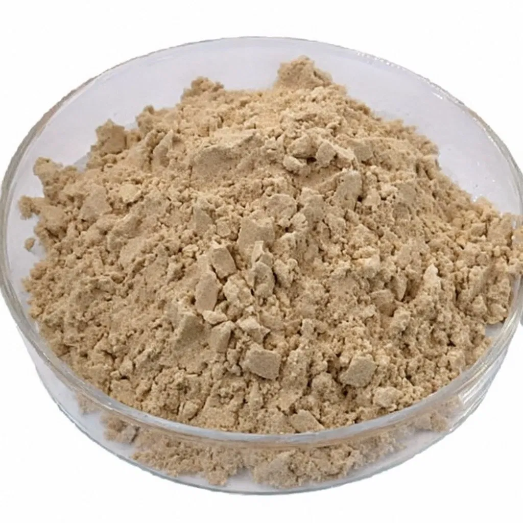 The Factory Produces High Quality Ginsenoside 80% Ginseng Root Extract Ginseng Powder