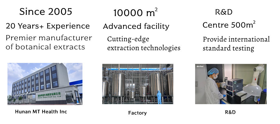 Natural Herbal Oral Health Skin Firmness Spilanthes Acmella Extract Powder