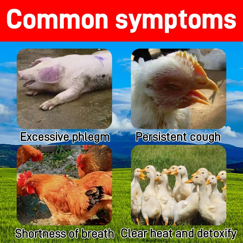 Veterinary Cough Remedy - Licorice Granules with No Adverse Reactions at Specified Dosage