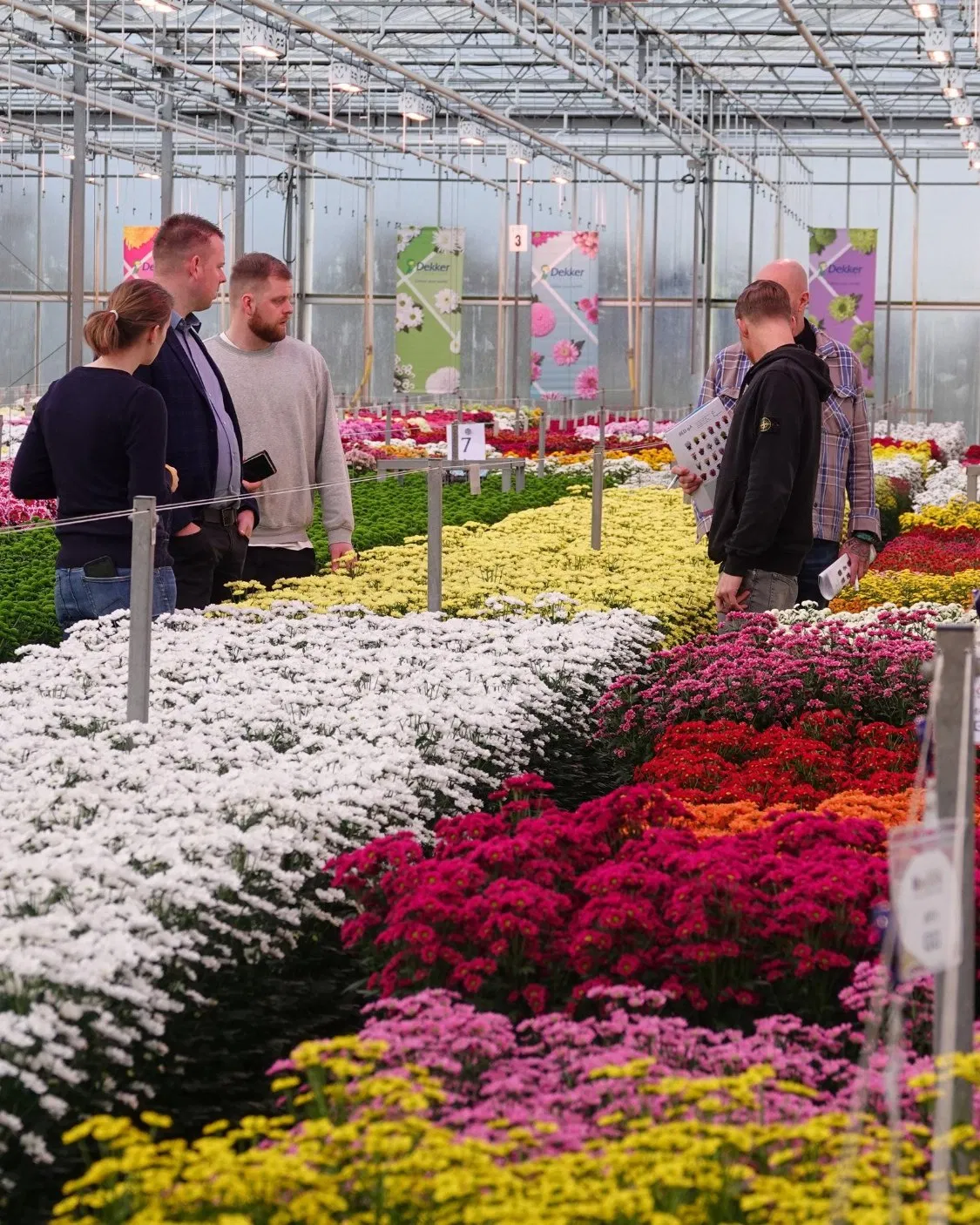 Quick Assembly UV-Resistant Flower House Greenhouse Kit for Home Garden