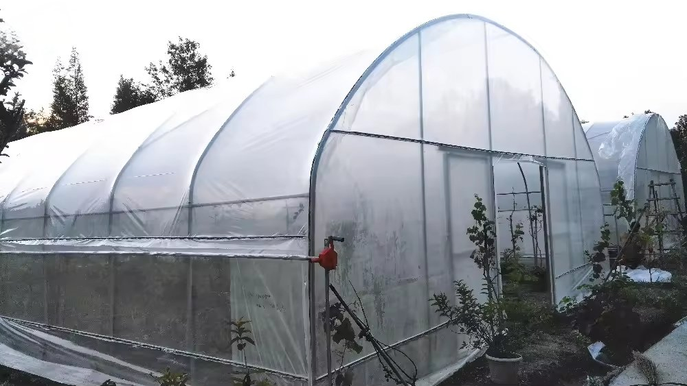 Commercial Single-Span Greenhouse Kit - Plastic Film Tunnel Design for Vegetable Seeding &amp; Strawberry Growing, Complete Steel Frame Structure
