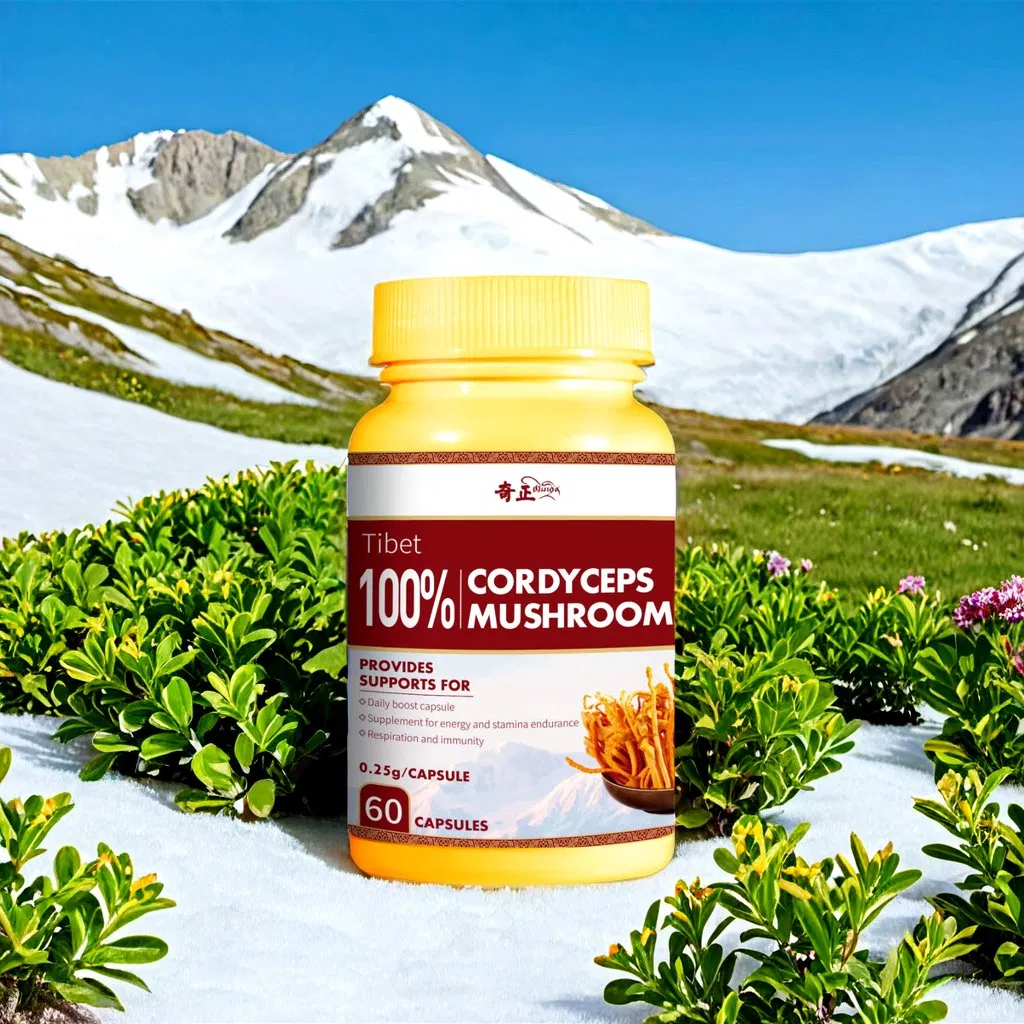 Cordyceps Mushroom Capsule