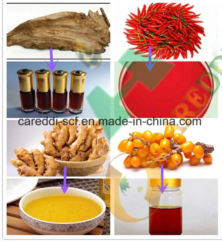 Extraction Resources