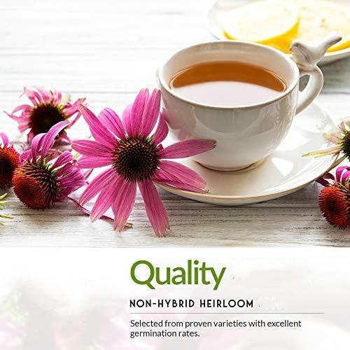 5 Herbal Tea Seed Packet Bag Collection Kit with Herb Seeds