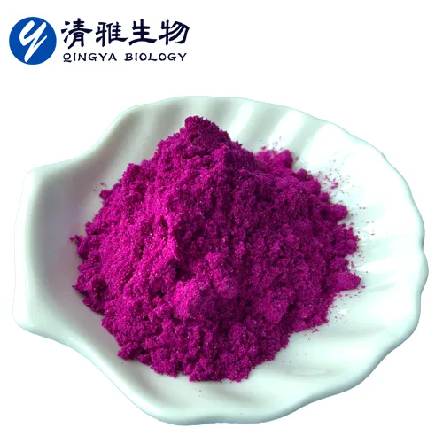 Natural Pitaya Pigment