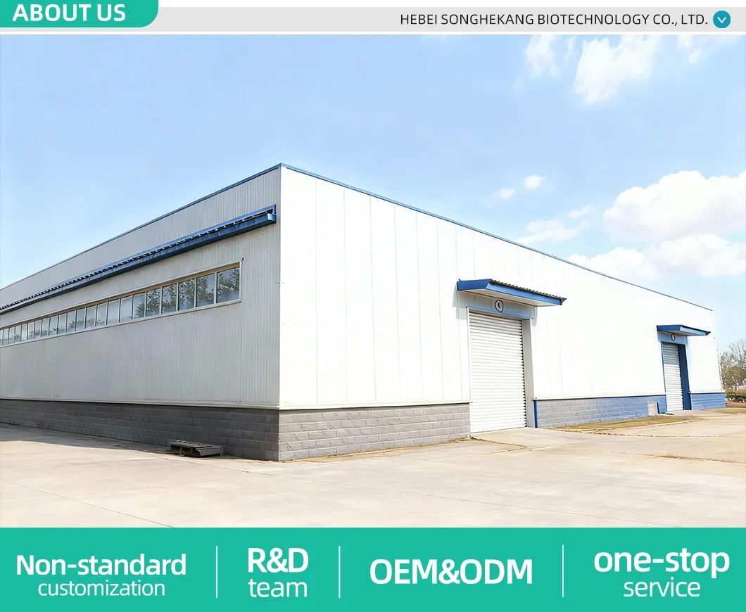 Manufacturing Facility