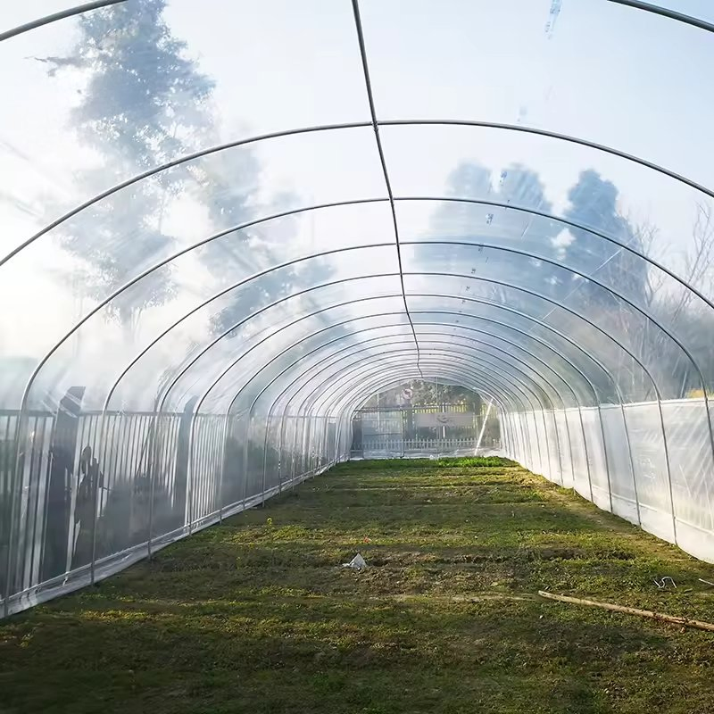 Commercial Single-Span Greenhouse Kit - Plastic Film Tunnel Design for Vegetable Seeding &amp; Strawberry Growing, Complete Steel Frame Structure