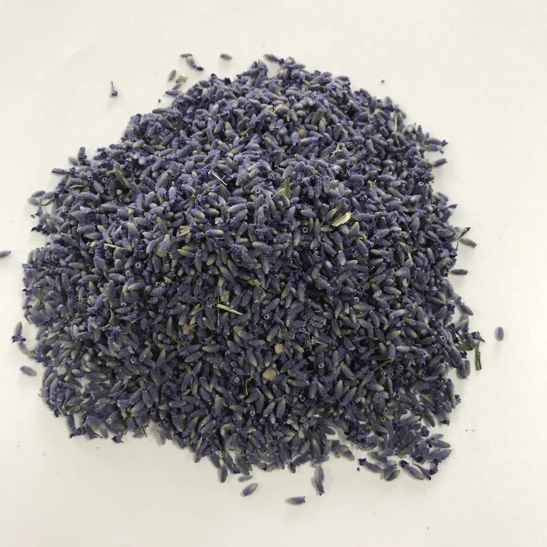 Herbal Tea Xun Yi Cao Lavender Oil Raw Material Lavender