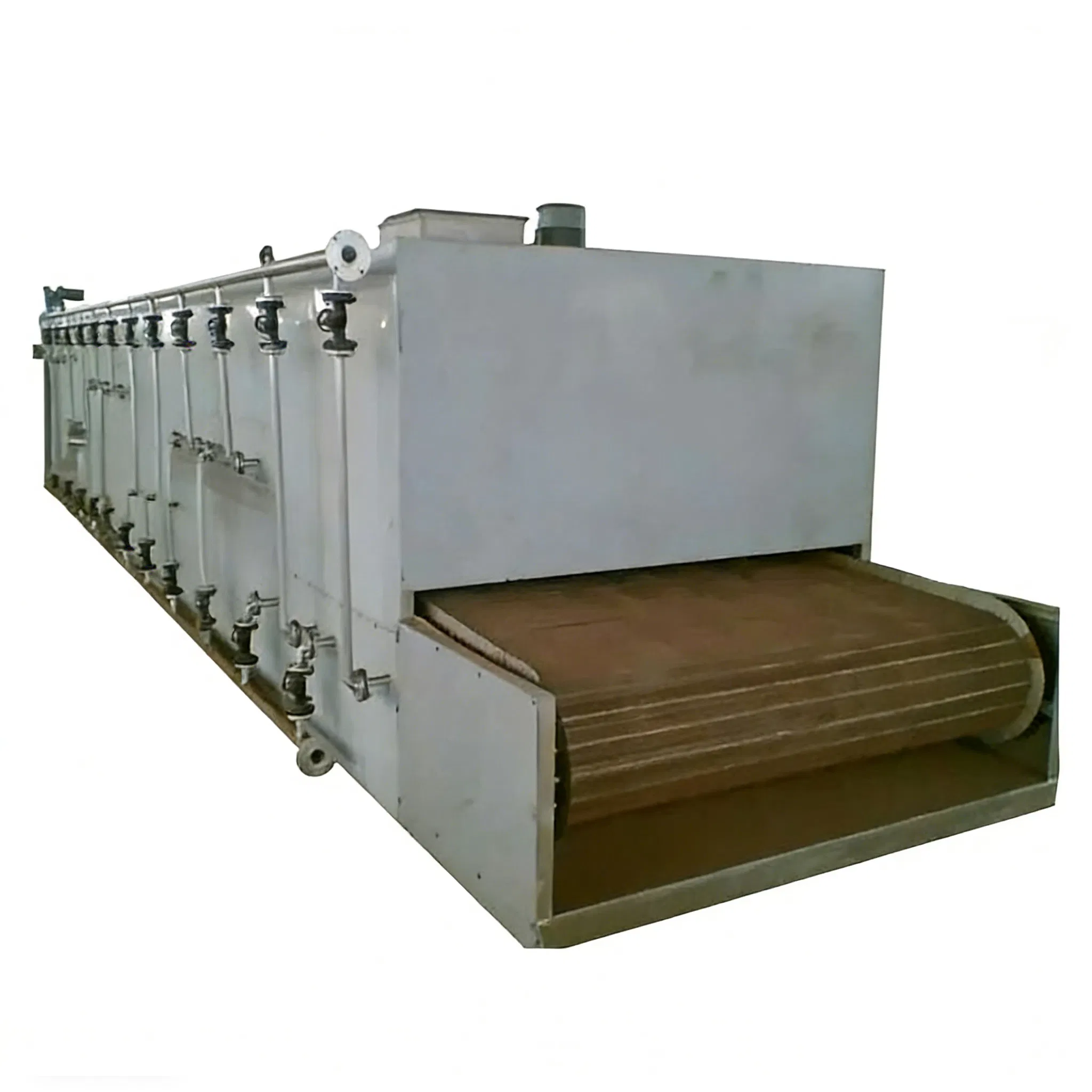 Industrial Mesh Belt Dryer for Continuous Drying