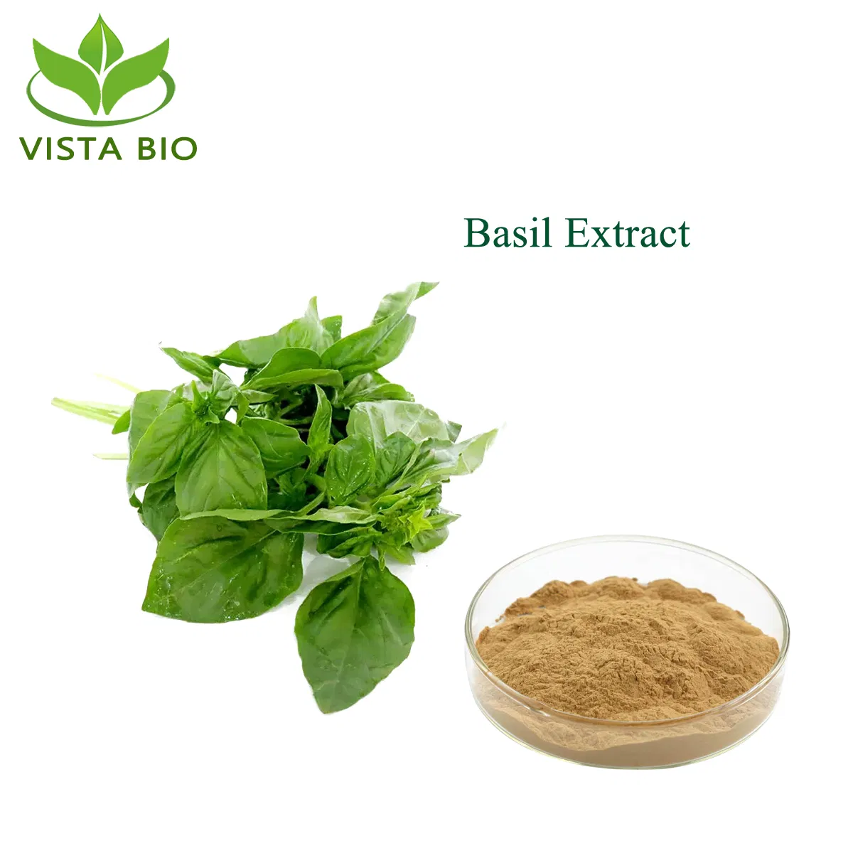 Factory Supply Herbal Extract Holy Basil Extract 4: 1~100: 1 Ocimum Sanctum Extract Powder