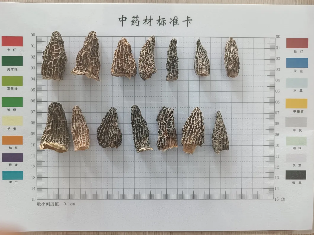 Customized Packaging 4