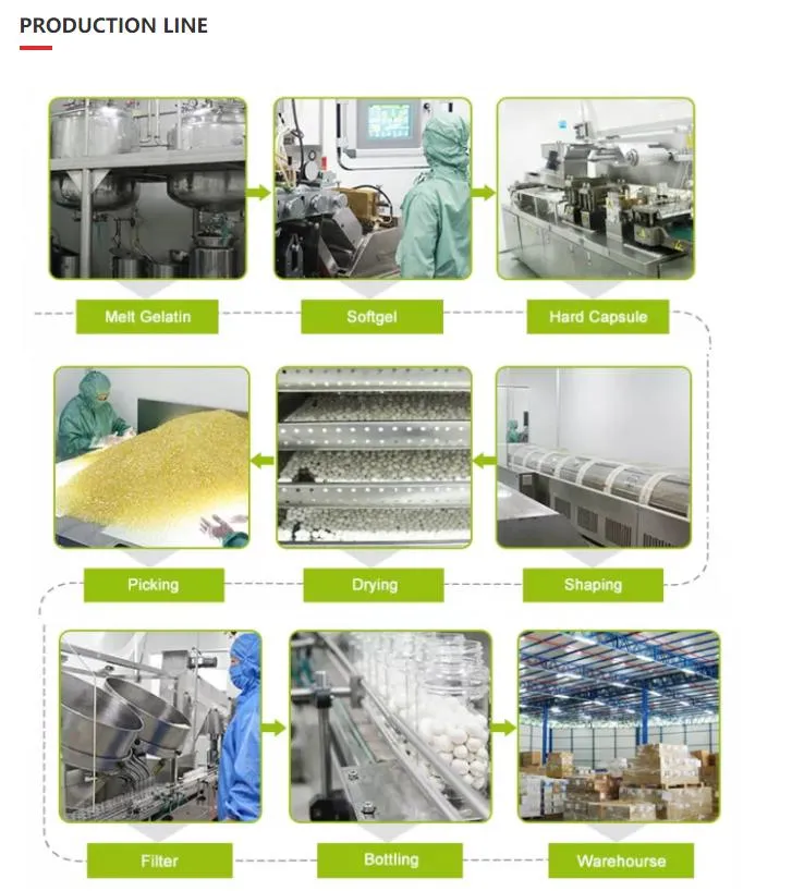 Professional Production Line