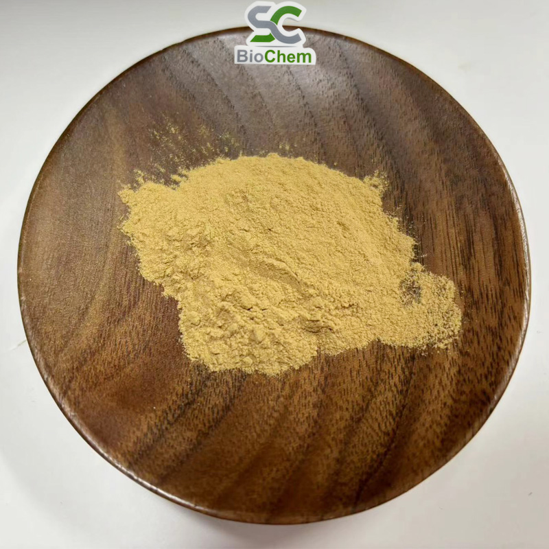 Astragalus Root Extract Astragalus Root Herbal Supplement Anti-Aging