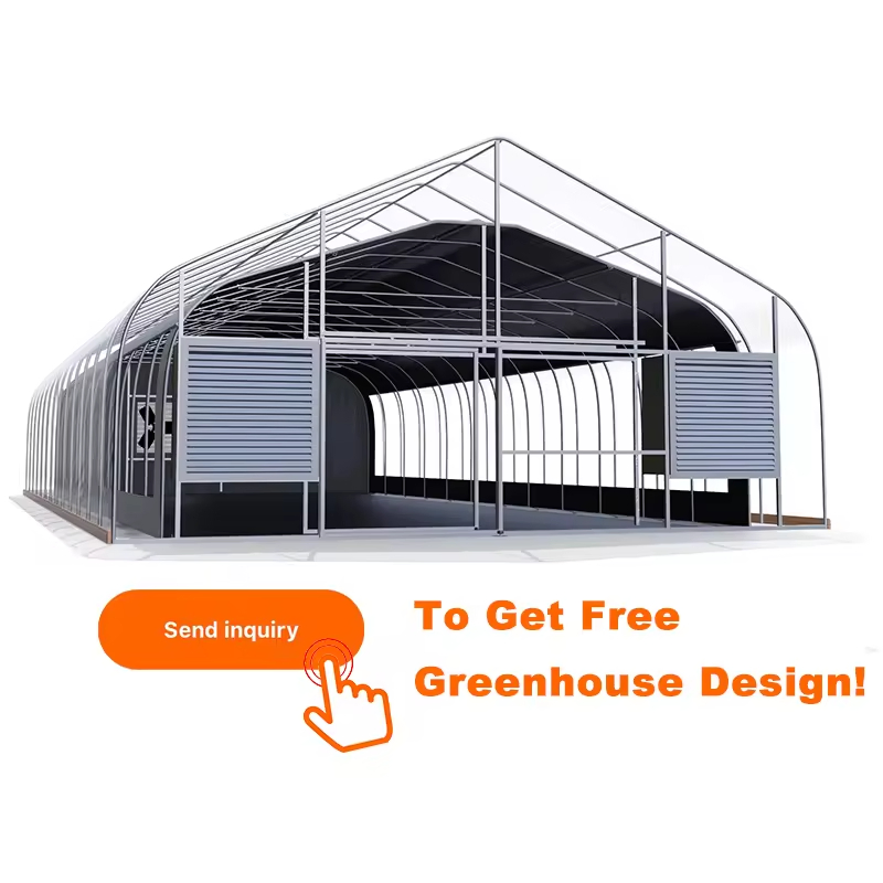 Commercial Single-Span Greenhouse Kit - Plastic Film Tunnel Design for Vegetable Seeding &amp; Strawberry Growing, Complete Steel Frame Structure