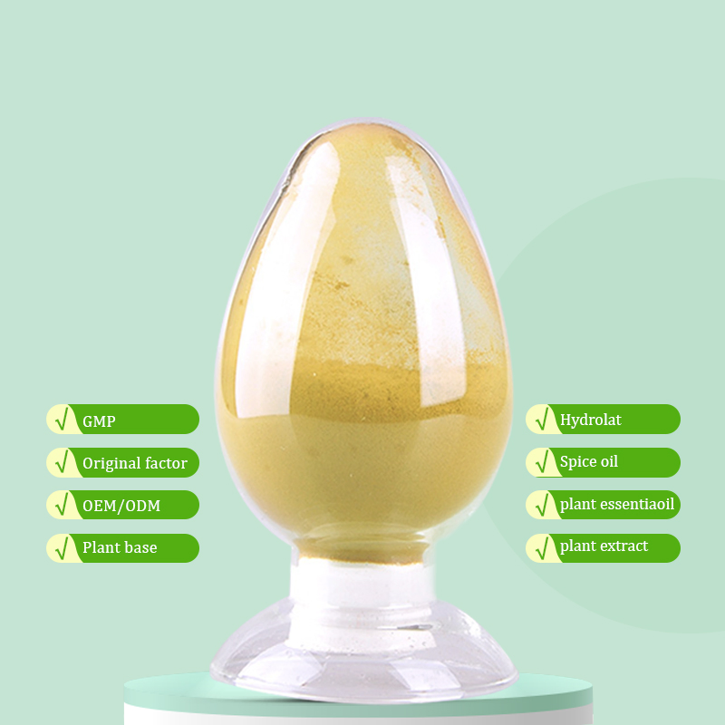 Premium 100% Pure Food Grade Herbal Extract Health Food Ginger Powder Bulk