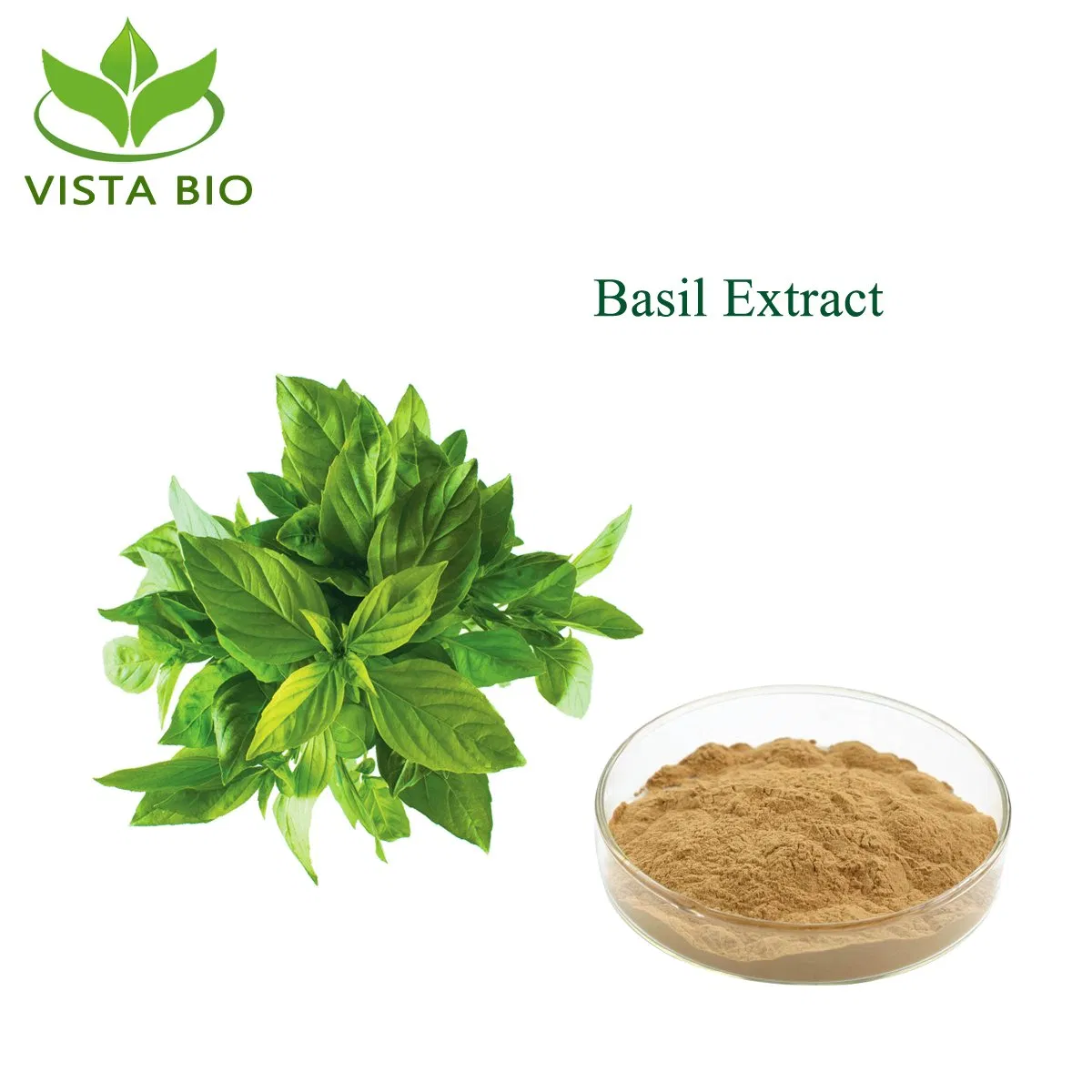 Factory Supply Herbal Extract Holy Basil Extract 4: 1~100: 1 Ocimum Sanctum Extract Powder