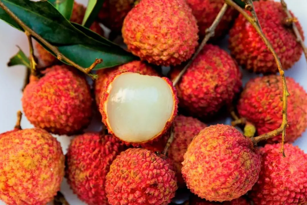 Freeze-Dried Lychee Powder Advantage