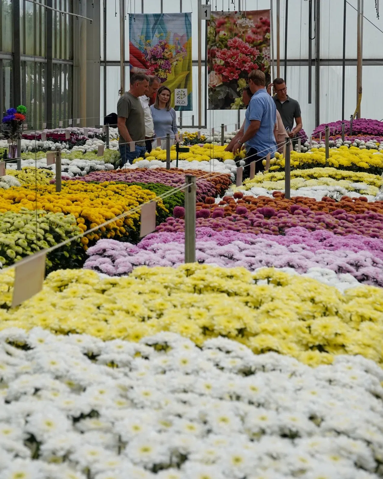 Quick Assembly UV-Resistant Flower House Greenhouse Kit for Home Garden