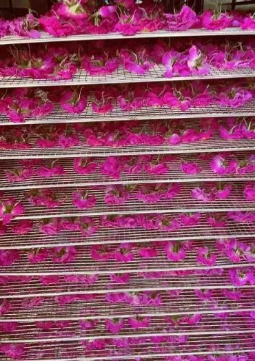 Herbal Rose Tea Detail