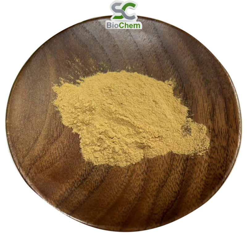 Astragalus Root Extract Astragalus Root Herbal Supplement Anti-Aging