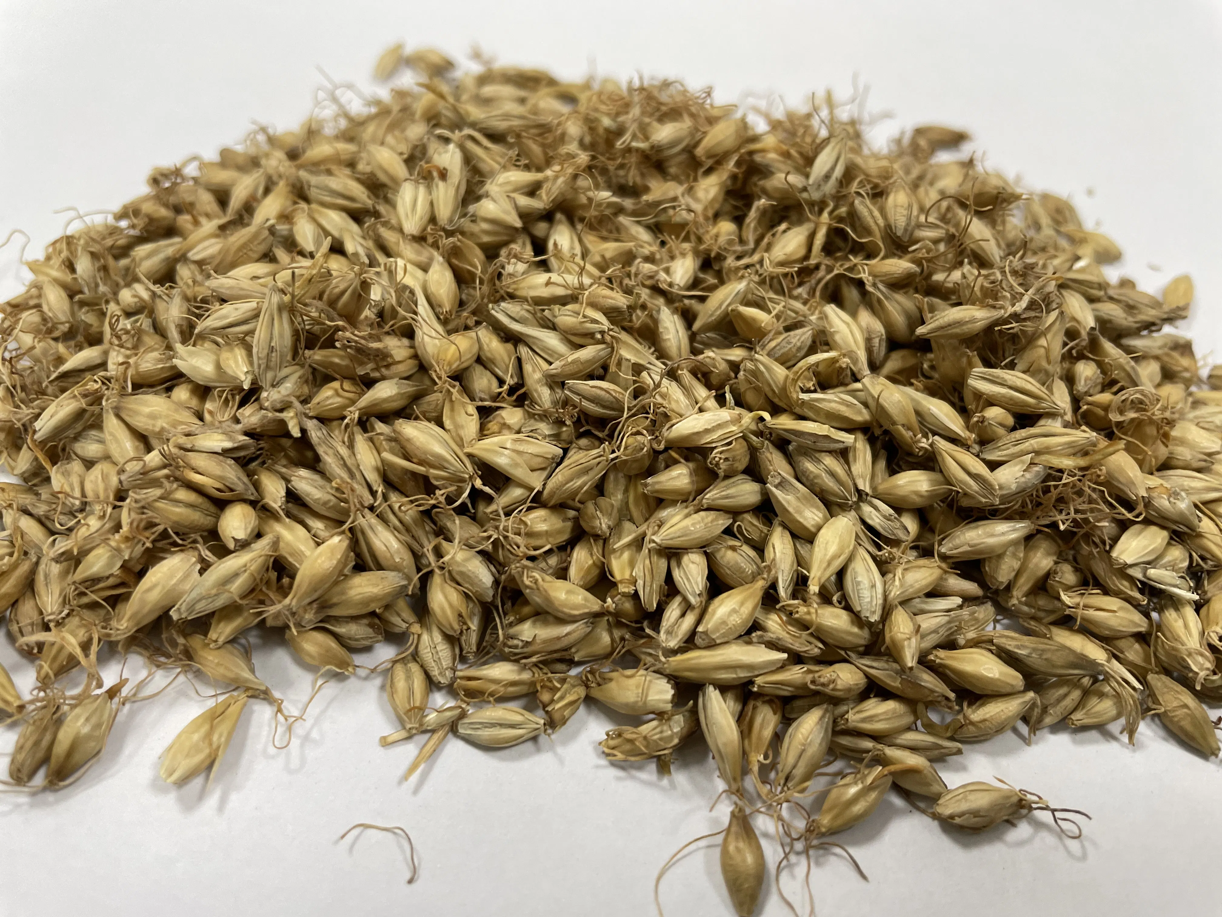 Traditional Chinese Herbal Medicine Maiya Hordei Fructus