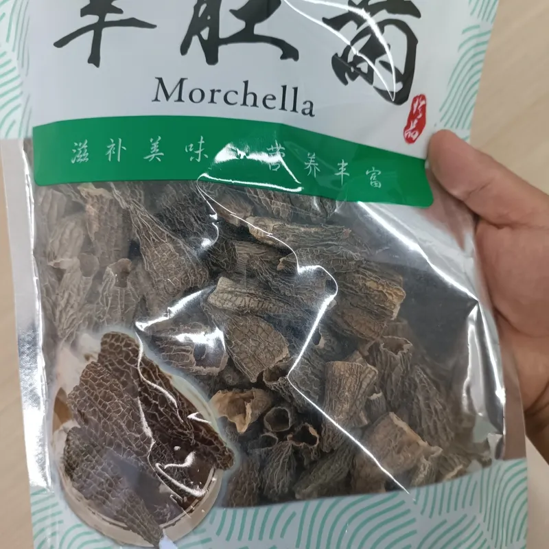 Dried Morel Close-up