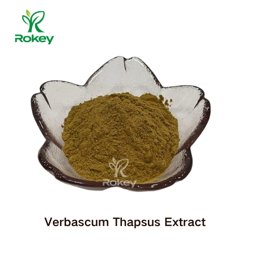 Premium Herbal Extract for Wellness Support Verbascum Thapsus Extract
