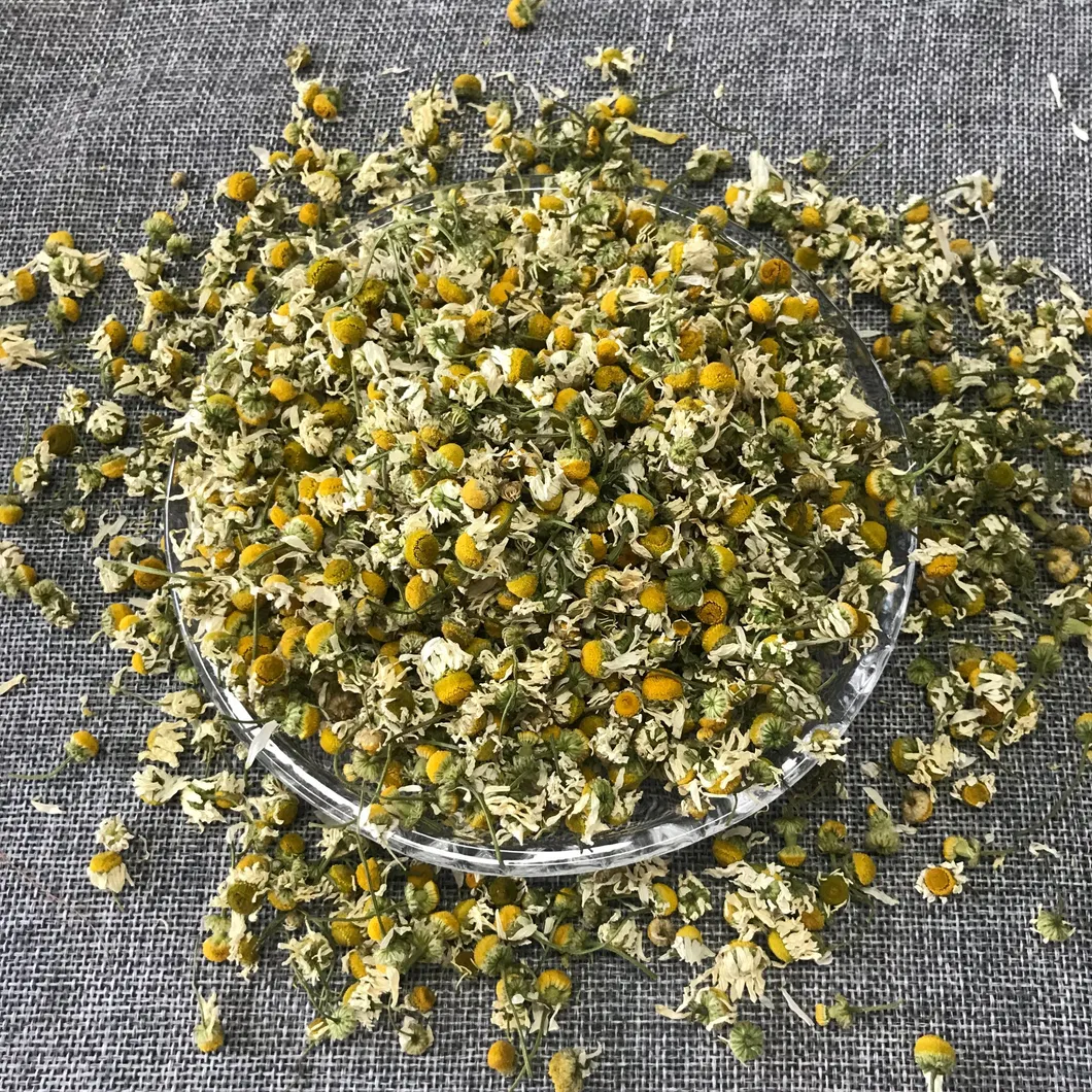 Chamomile