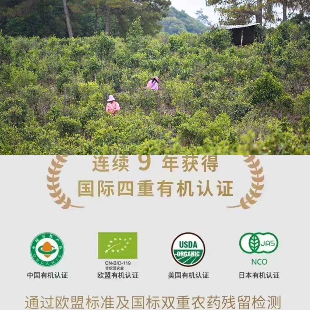 Raw Puerh Herbal Sheng Puer