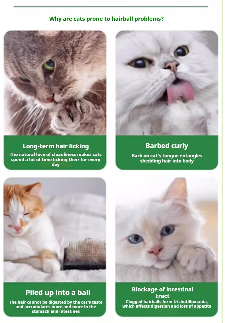 Organic Pet Nutrition