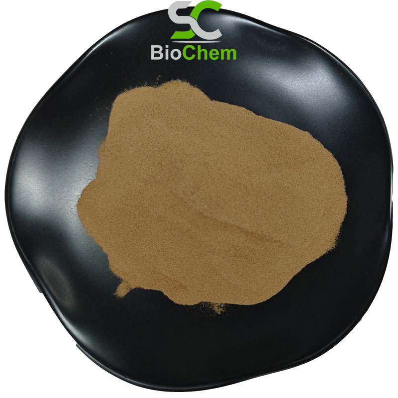 Bulk Valeriana Officinalis Herbal Extract 10: 1 Valerian Extract Powder