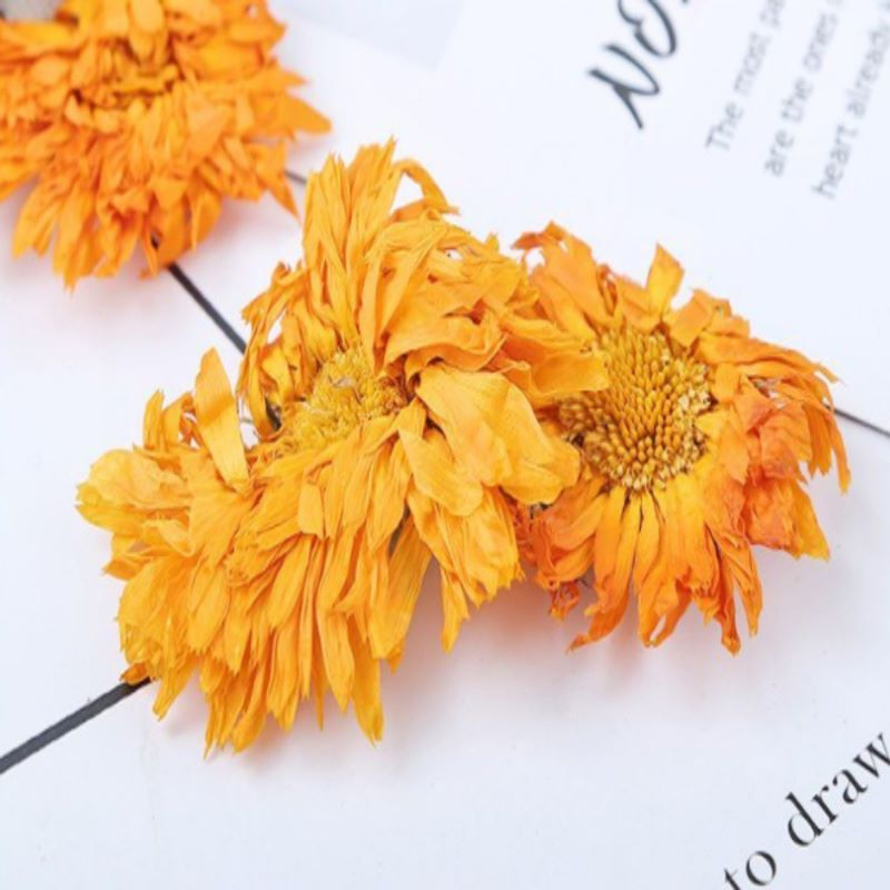 Calendula Dried Flower Calendula Petal Herbal Tea