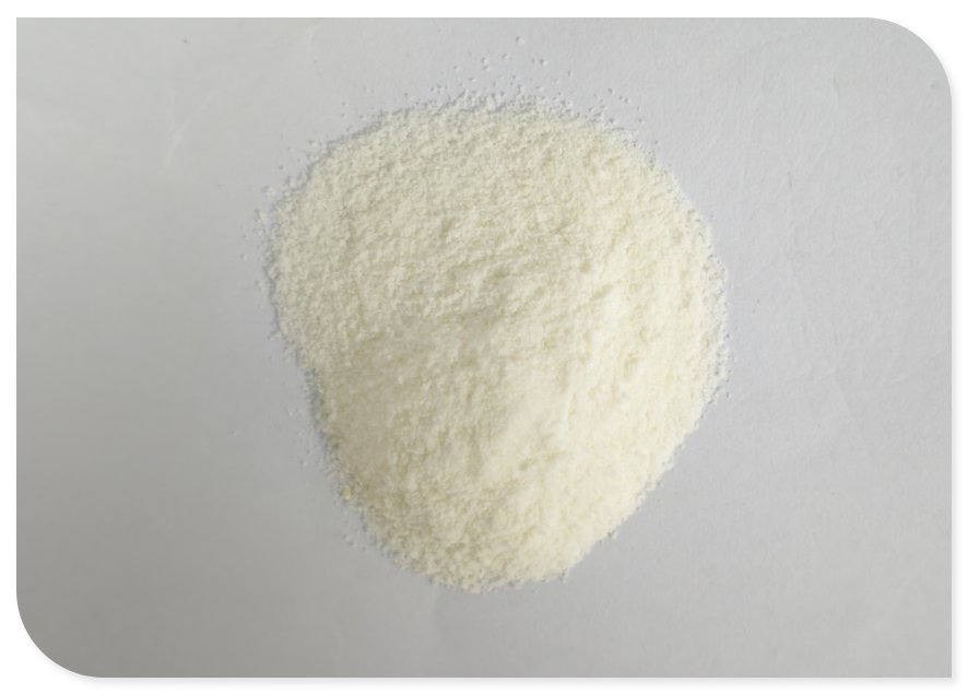 Garcinia Cambogia &amp; Green Tea Appetite Control Granules - Raspberry Flavor